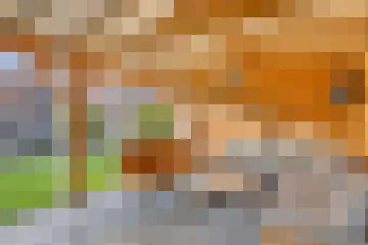Linde 34 Leek thumbnail 34