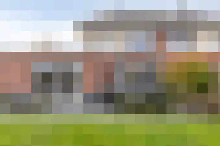 Linde 34 Leek thumbnail 35