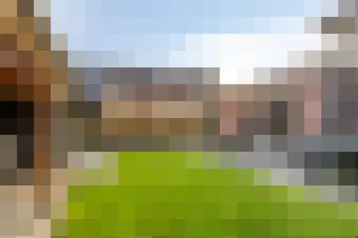 Linde 34 Leek thumbnail 36