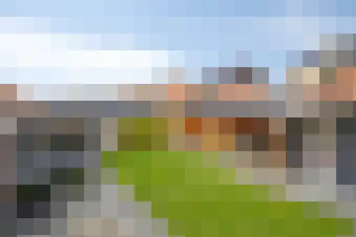 Linde 34 Leek thumbnail 37