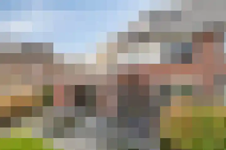 Linde 34 Leek thumbnail 39