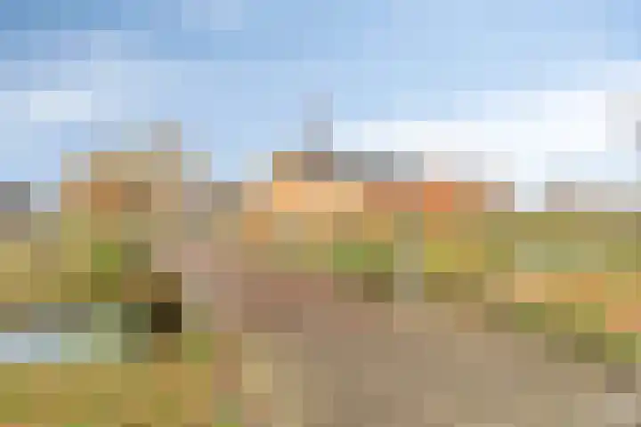 Linde 34 Leek thumbnail 42