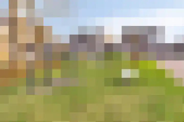 Linde 34 Leek thumbnail 43