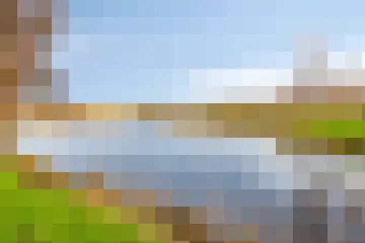 Linde 34 Leek thumbnail 44