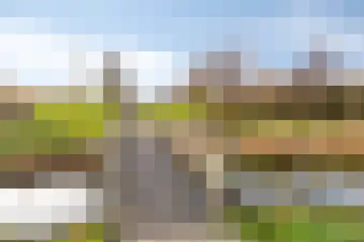 Linde 34 Leek thumbnail 45