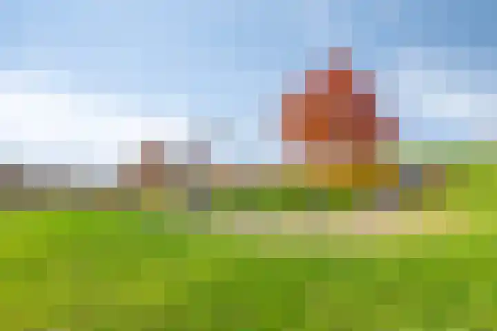 Linde 34 Leek thumbnail 46