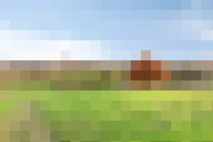 Linde 34 Leek thumbnail 47