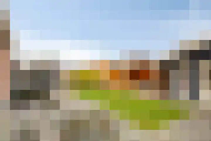 Linde 34 Leek thumbnail 5
