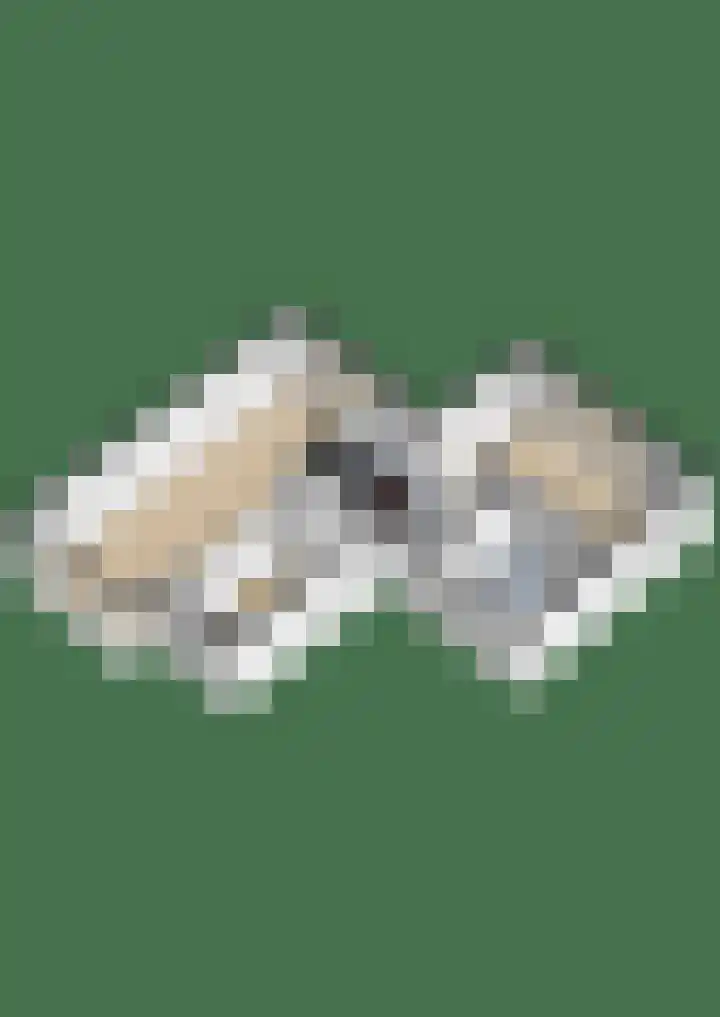 Linde 34 Leek thumbnail 50