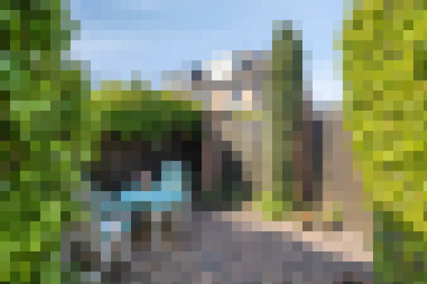 Linde 42 Heino thumbnail 46