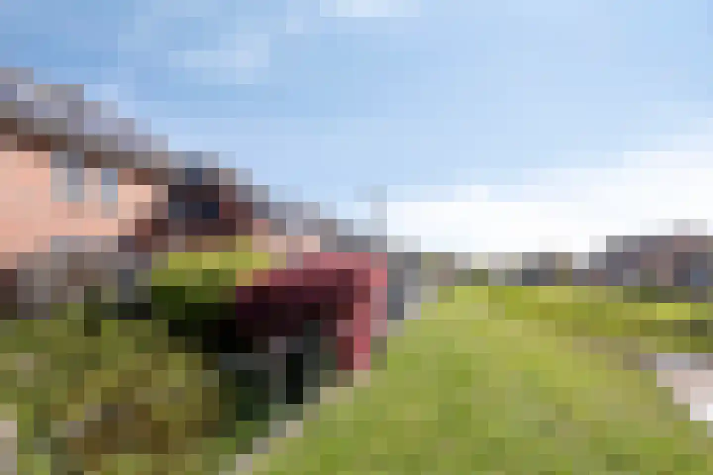 Linde 42 Heino thumbnail 49