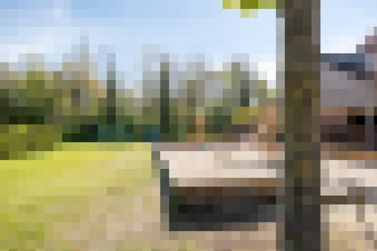 Linde 42 Heino thumbnail 57