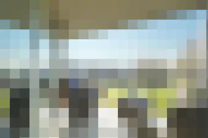 Linde 6 Barendrecht thumbnail 4