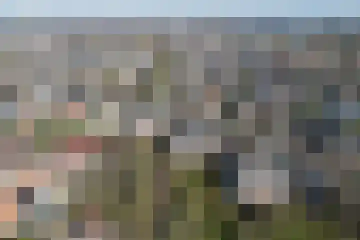 Linde 6 Barendrecht thumbnail 5