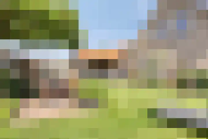 Lindeakkers 27 Oost West en Middelbeers thumbnail 41