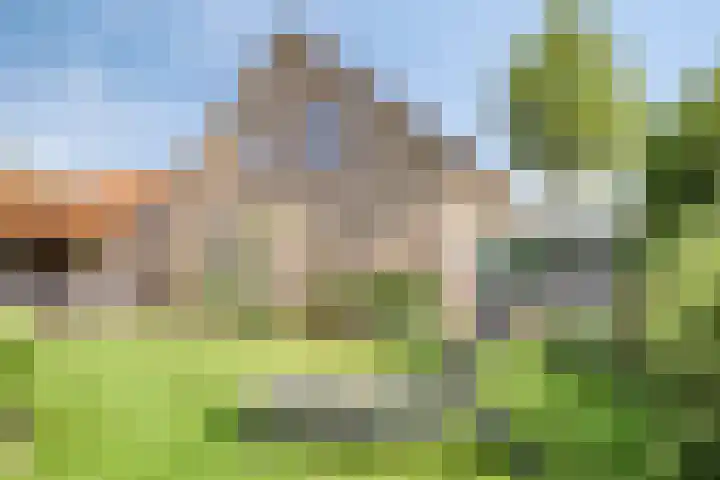 Lindeakkers 27 Oost West en Middelbeers thumbnail 42