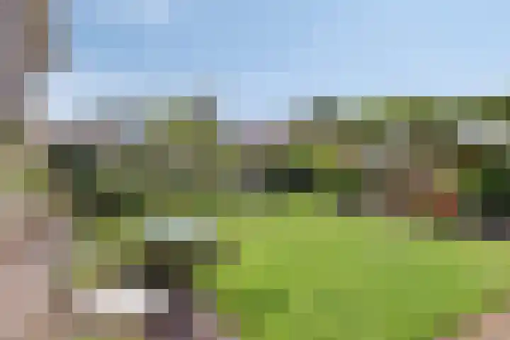 Lindeakkers 27 Oost West en Middelbeers thumbnail 5