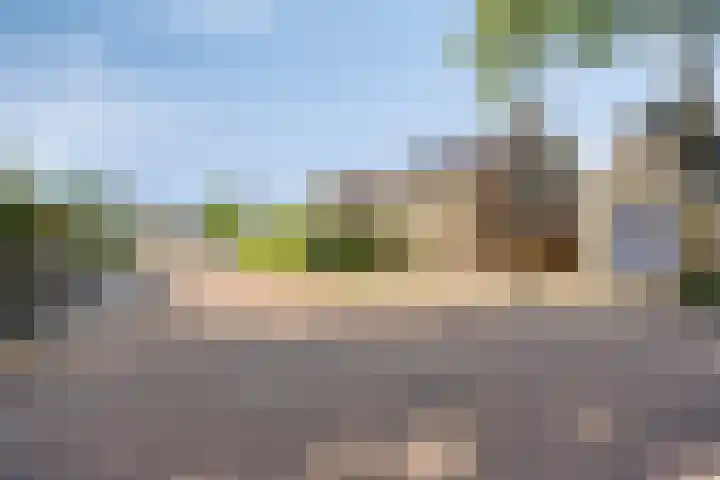 Lindeakkers 27 Oost West en Middelbeers thumbnail 54