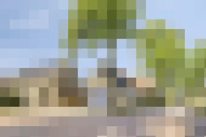 Lindeakkers 27 Oost West en Middelbeers thumbnail 6