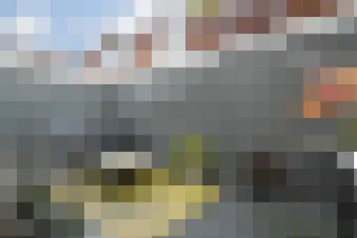 Lindebaan 3 Bergen op Zoom thumbnail 24