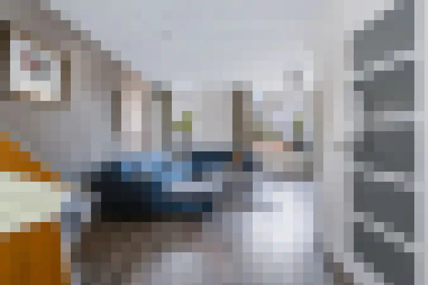 Lindeboom 16 Kilder thumbnail 14