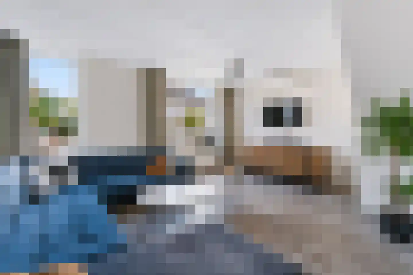 Lindeboom 16 Kilder thumbnail 15