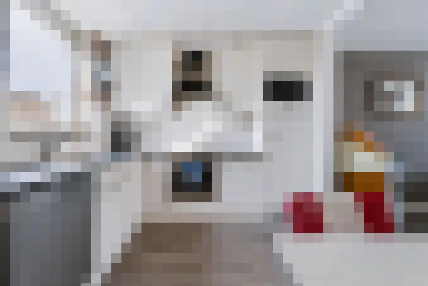 Lindeboom 16 Kilder thumbnail 18