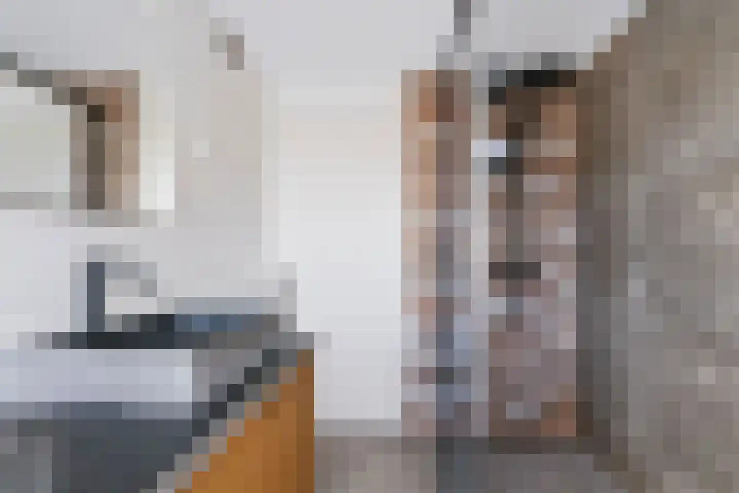 Lindeboom 16 Kilder thumbnail 29