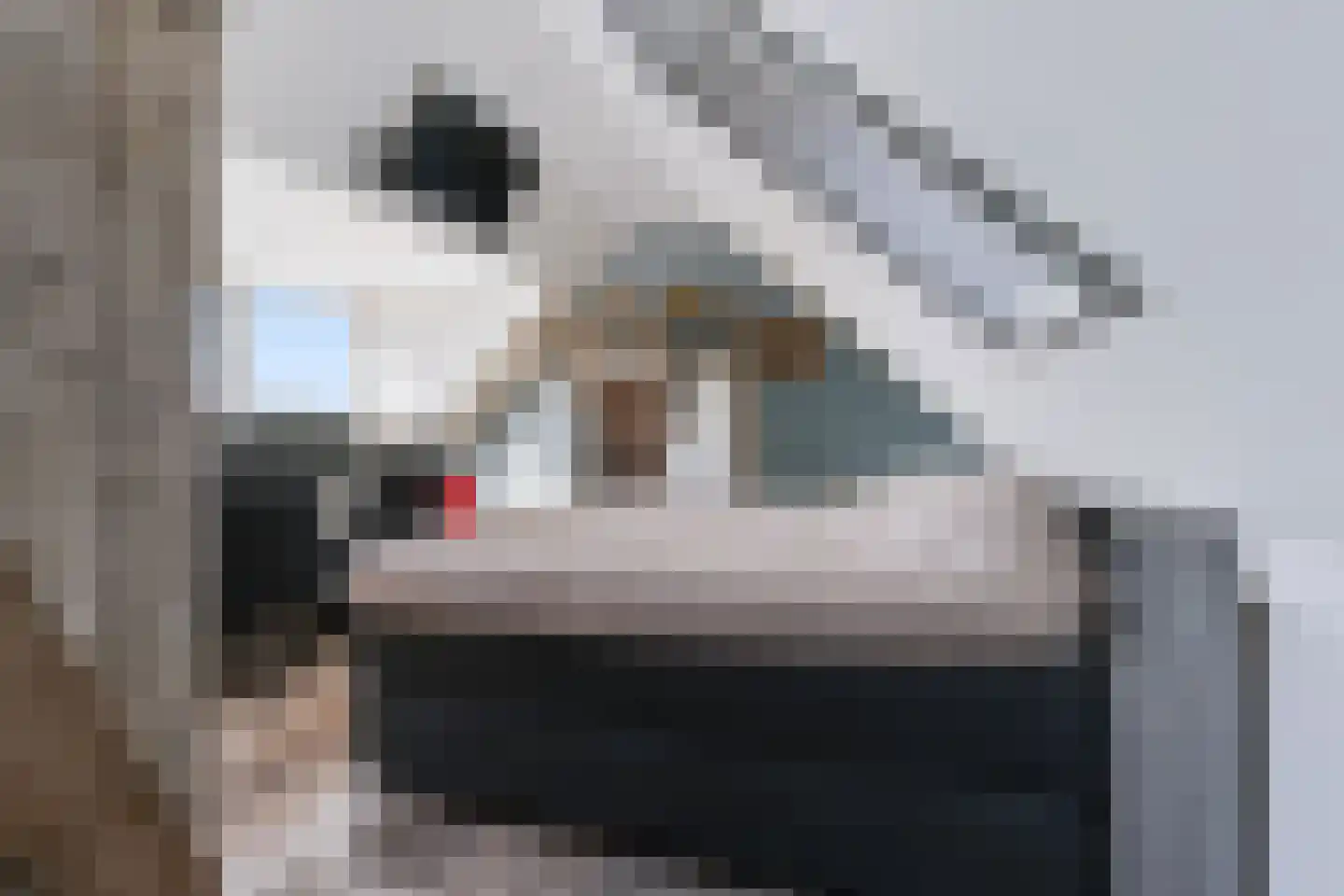 Lindeboom 16 Kilder thumbnail 43