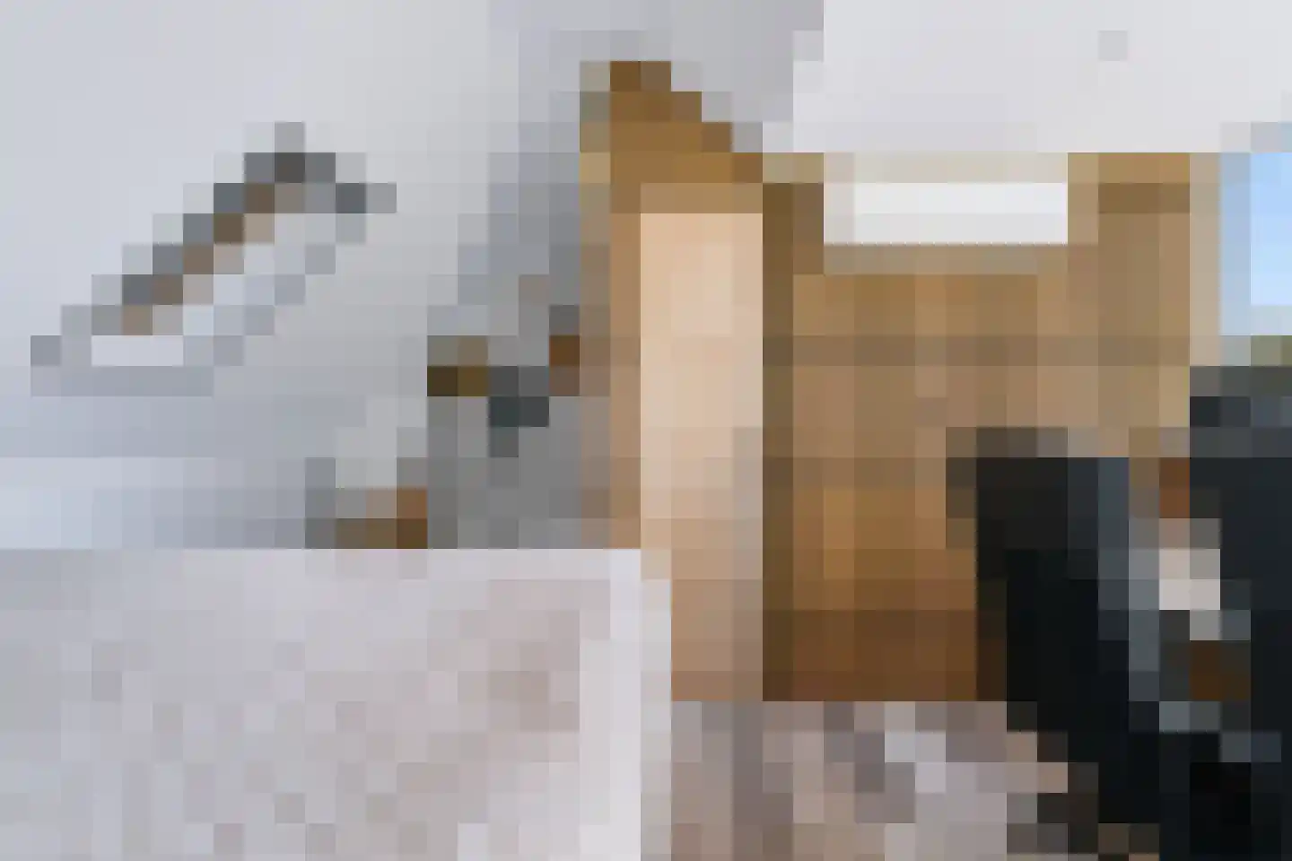 Lindeboom 16 Kilder thumbnail 46