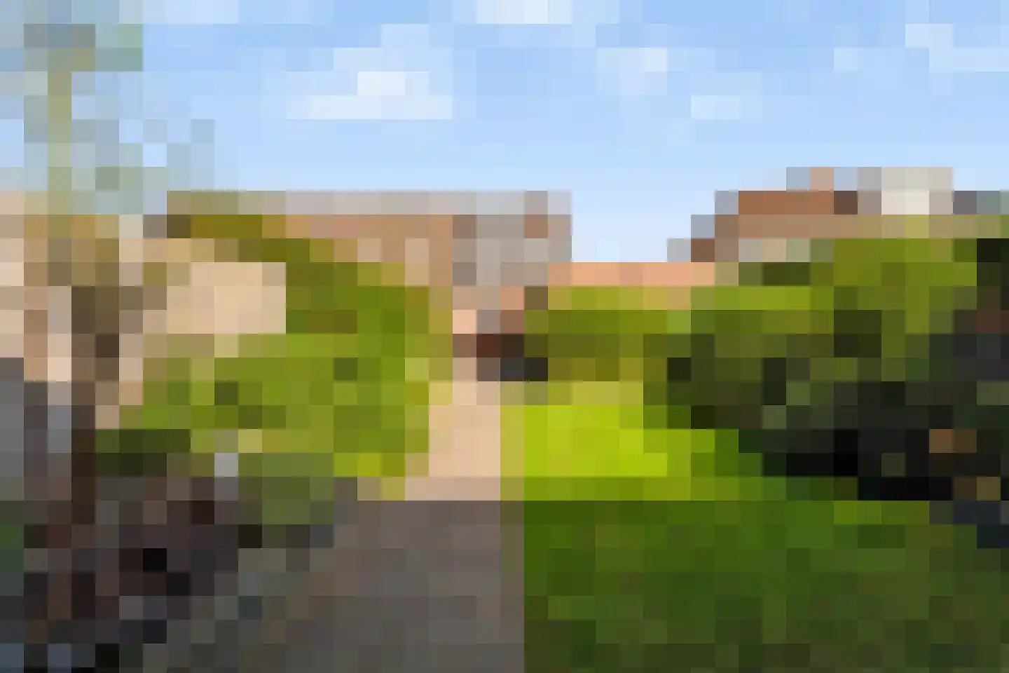 Lindeboom 16 Kilder thumbnail 5