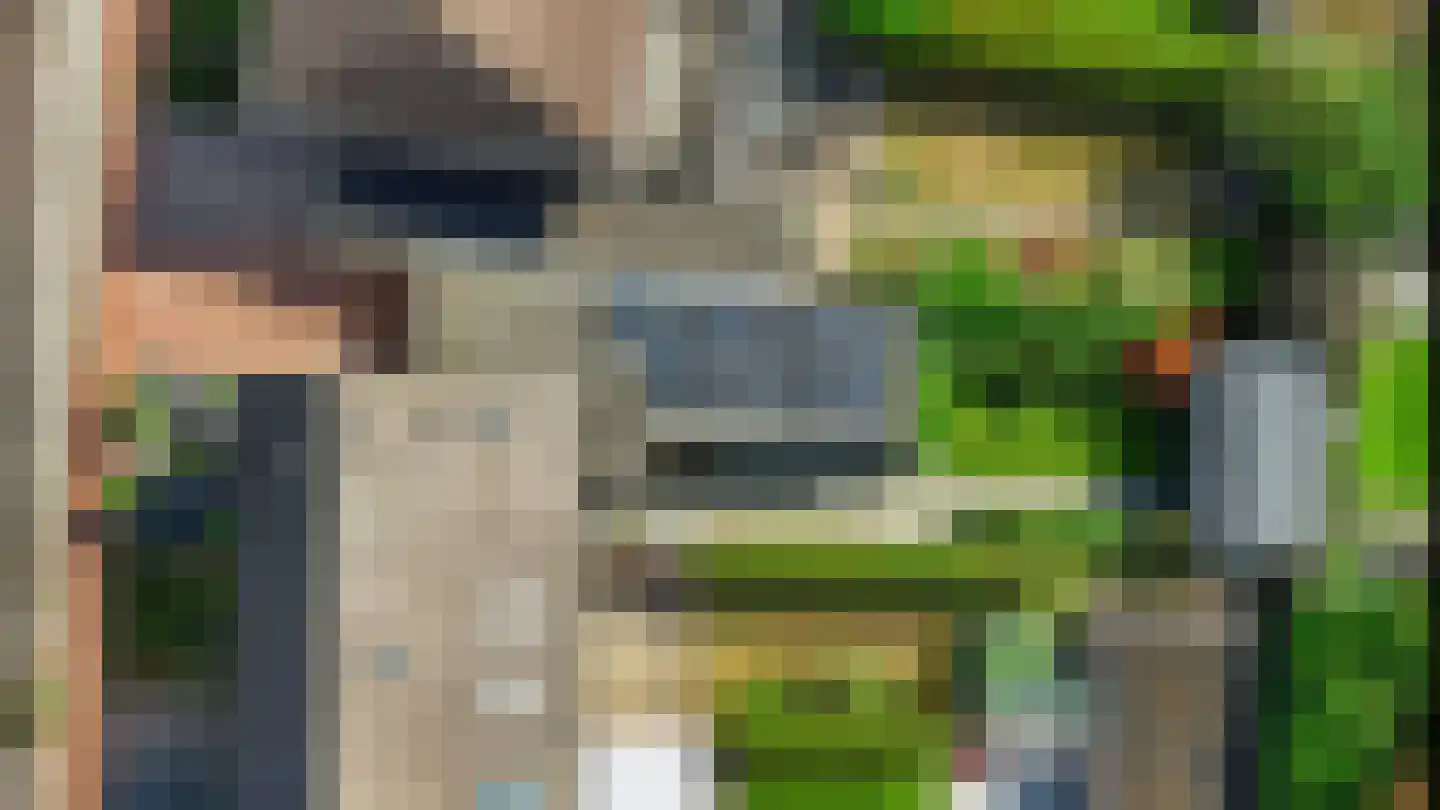 Lindeboom 16 Kilder thumbnail 56