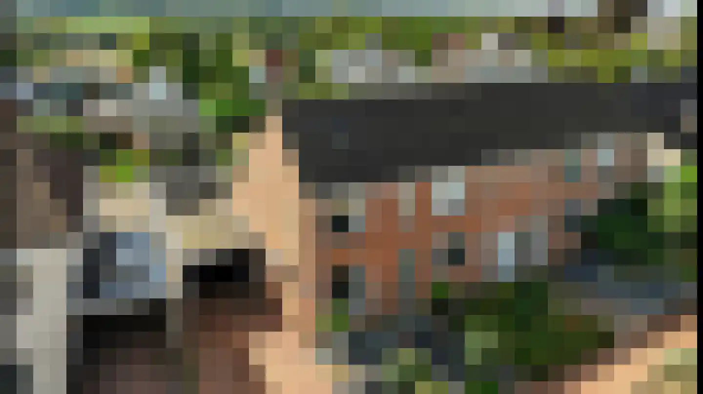 Lindeboom 16 Kilder thumbnail 57
