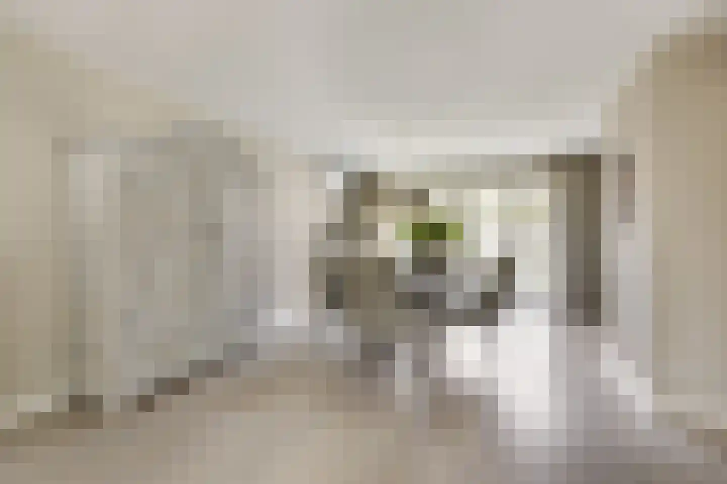 Lindeboom 19 Kilder thumbnail 14