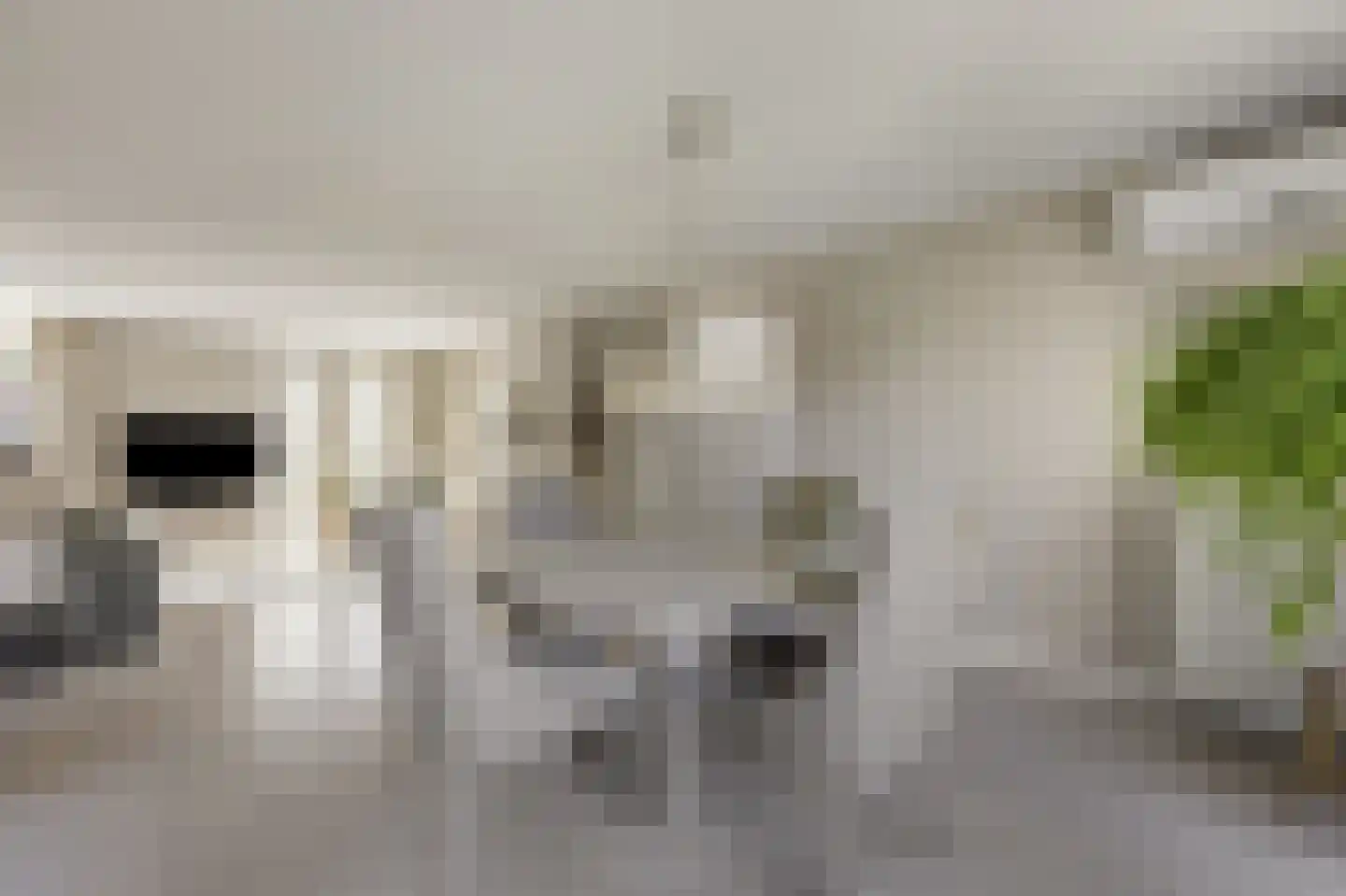 Lindeboom 19 Kilder thumbnail 15