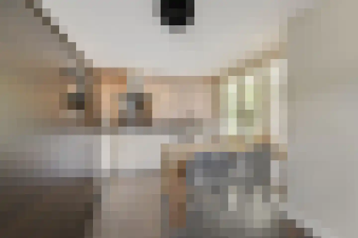 Lindeboom 19 Kilder thumbnail 18