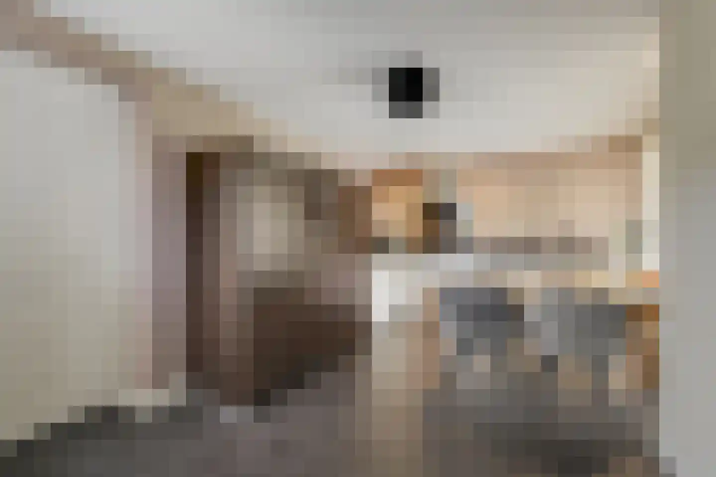 Lindeboom 19 Kilder thumbnail 19