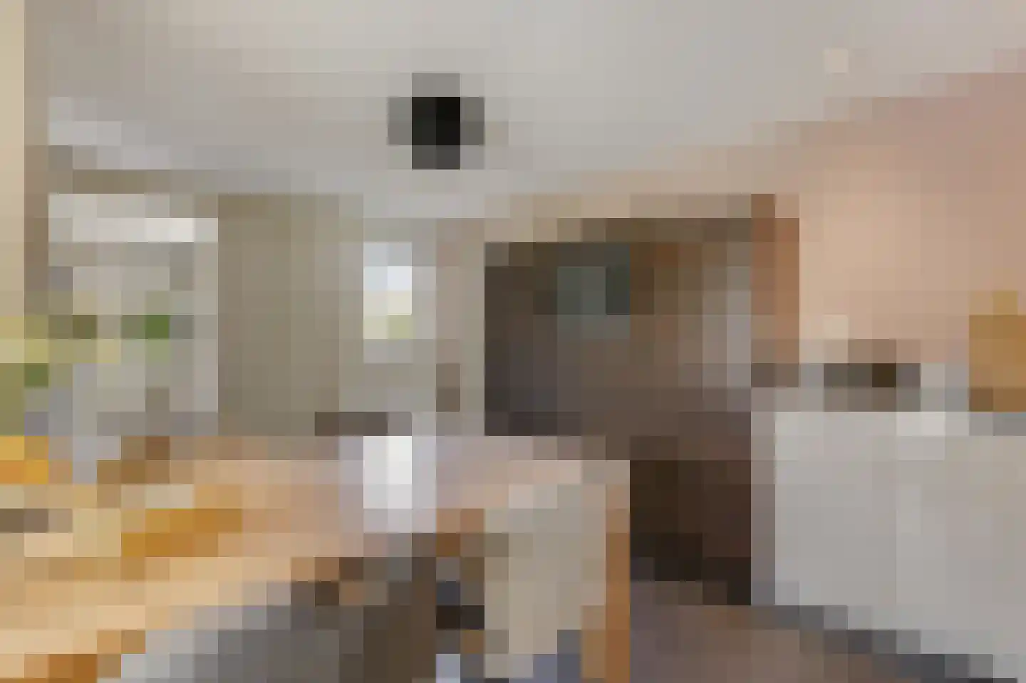 Lindeboom 19 Kilder thumbnail 21