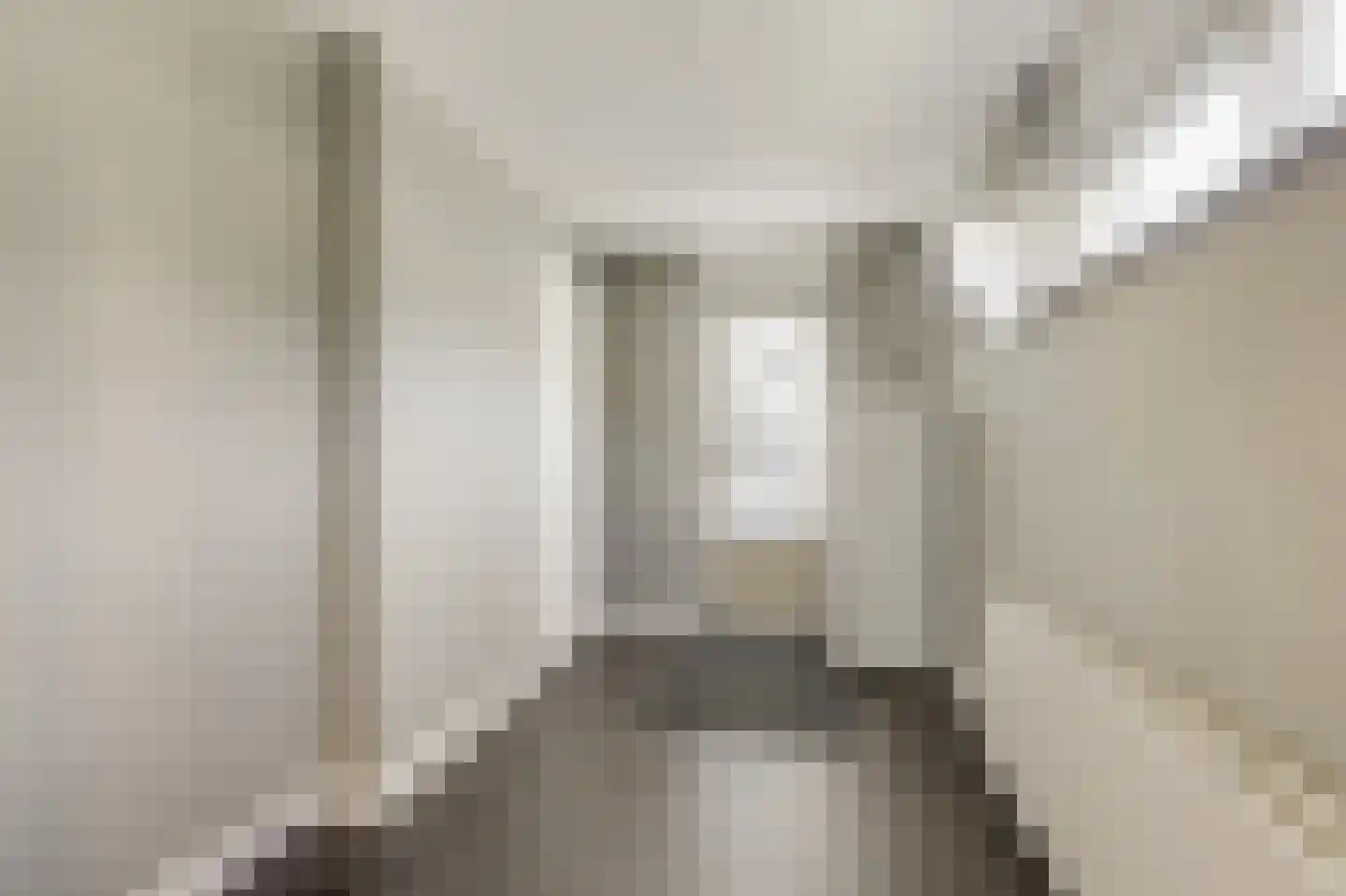 Lindeboom 19 Kilder thumbnail 23