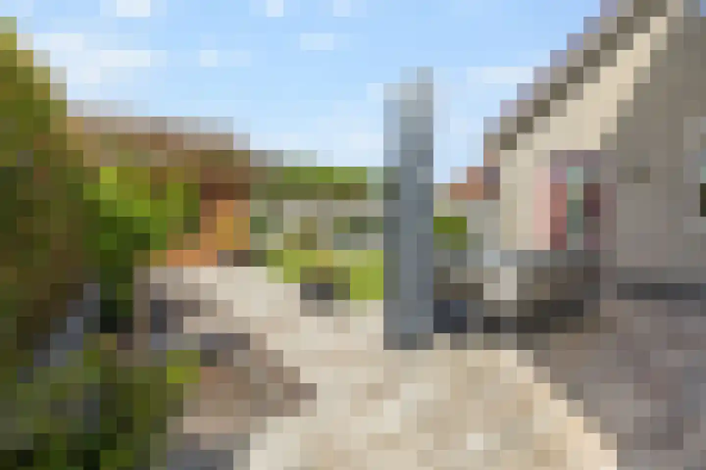 Lindeboom 19 Kilder thumbnail 25