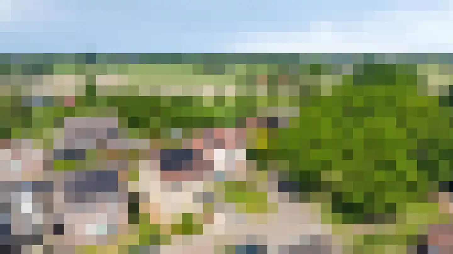 Lindeboom 19 Kilder thumbnail 4