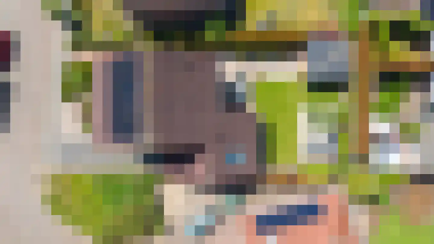 Lindeboom 19 Kilder thumbnail 40