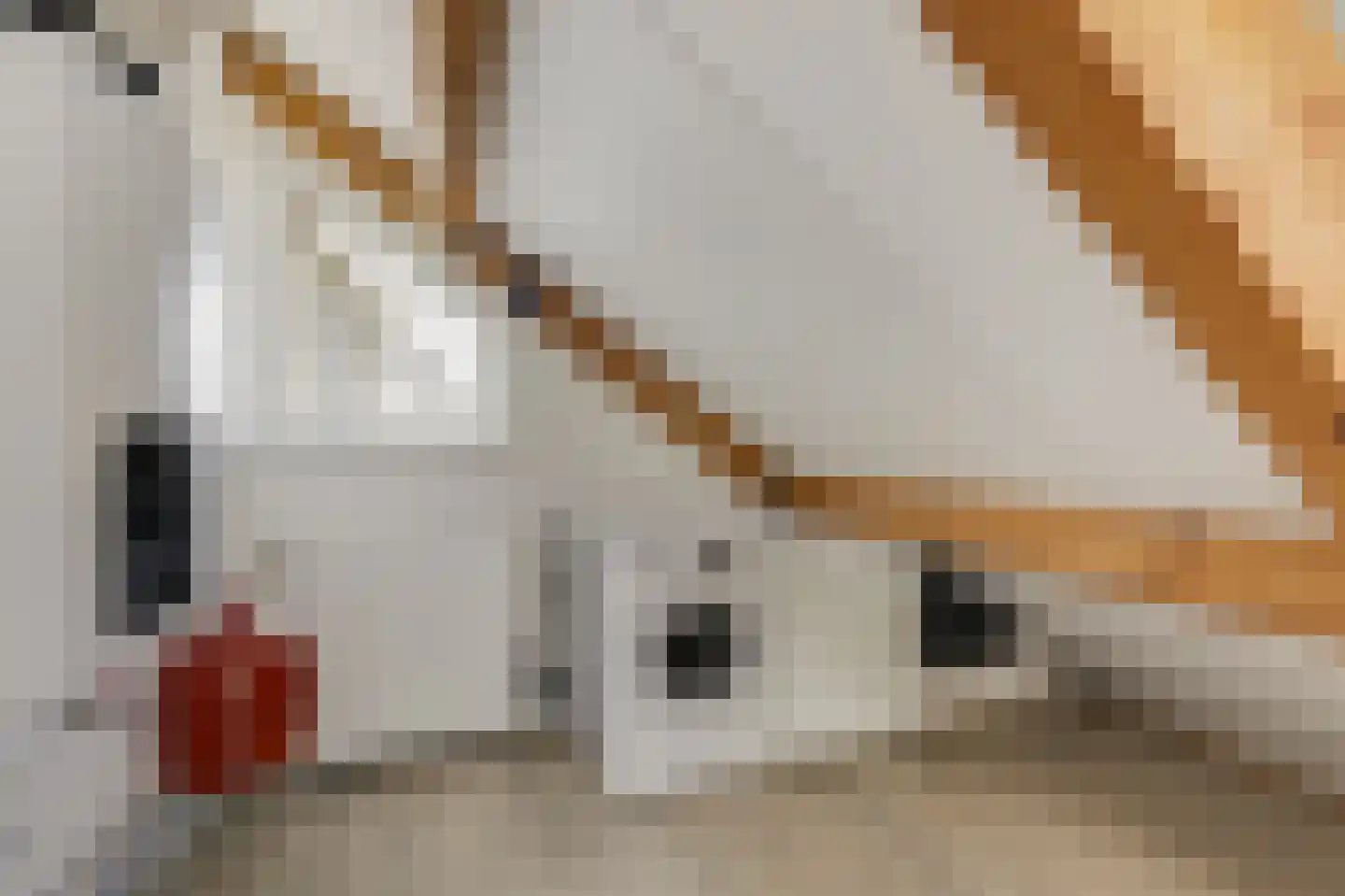 Lindeboom 19 Kilder thumbnail 50