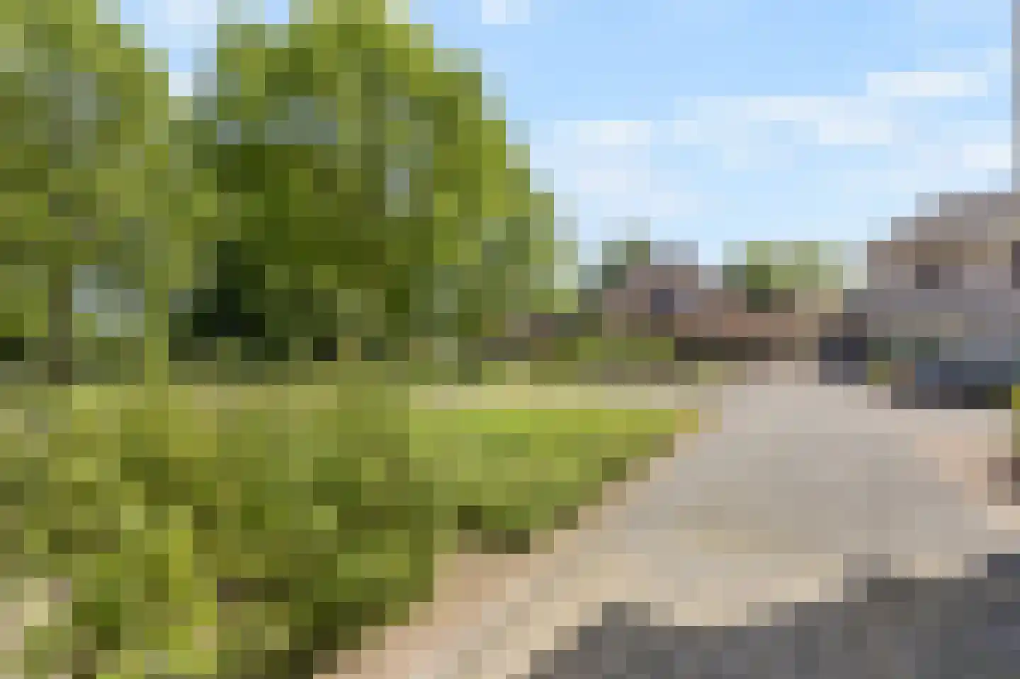 Lindeboom 19 Kilder thumbnail 61