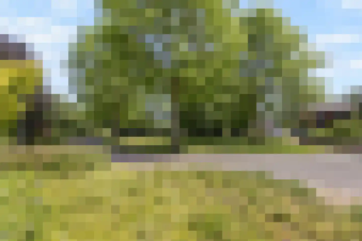 Lindeboom 19 Kilder thumbnail 62