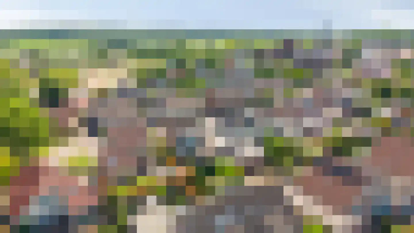 Lindeboom 19 Kilder thumbnail 65
