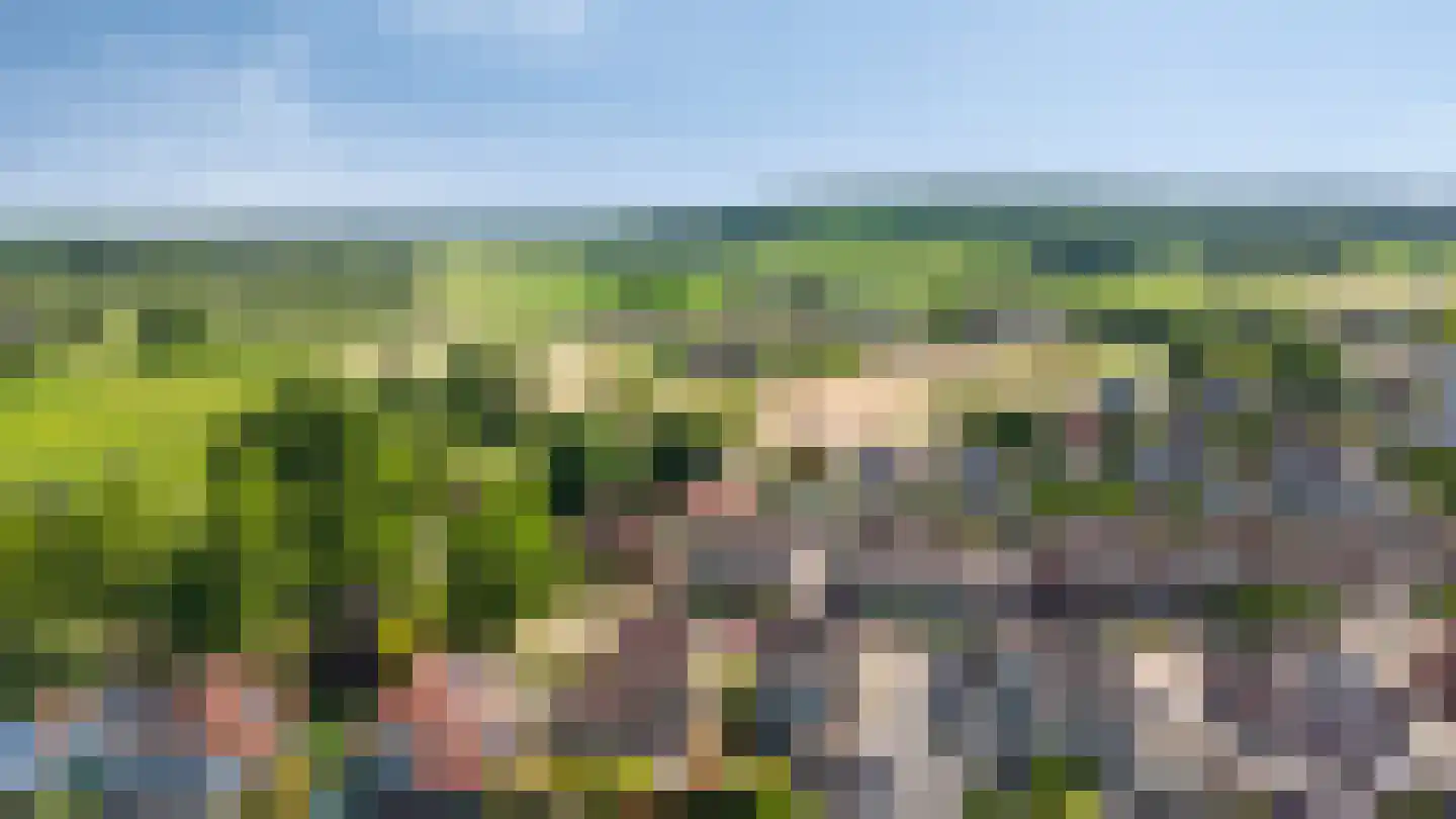 Lindeboom 19 Kilder thumbnail 66