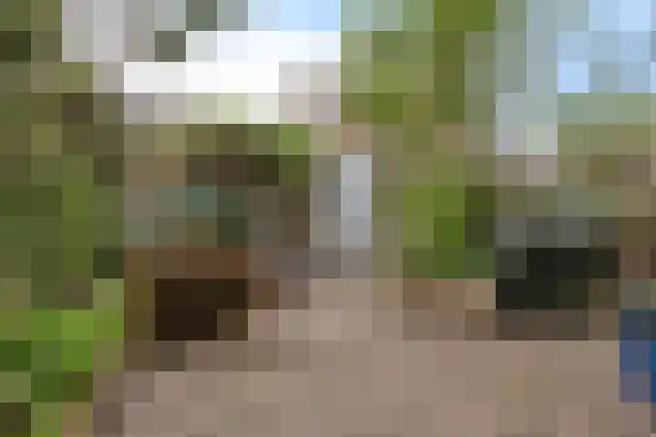 Lindeboom 45 Culemborg thumbnail 33