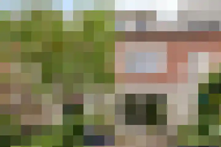 Lindeboom 45 Culemborg thumbnail 38