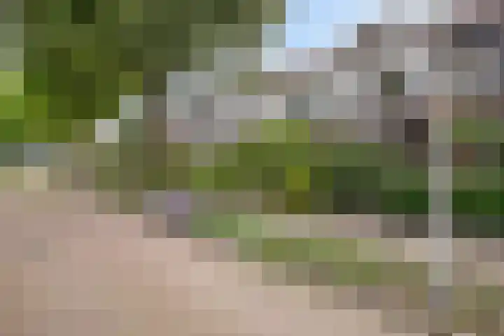 Lindeboom 45 Culemborg thumbnail 4